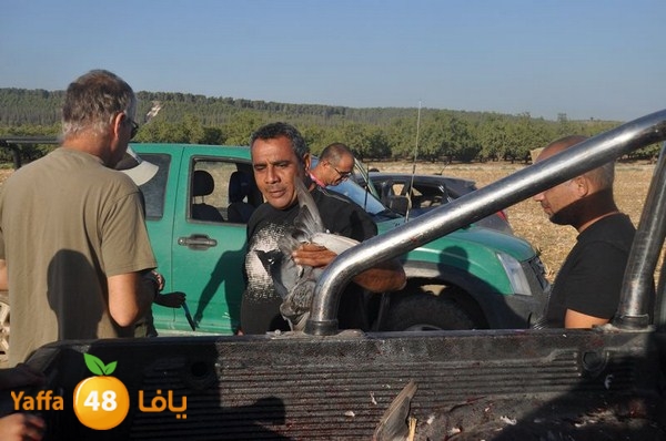 7amam lud monir 908 (70).JPG